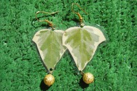 /album/galleria-foto-flower/a014-jpg/