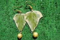 /album/galleria-foto-flower/a015-jpg/