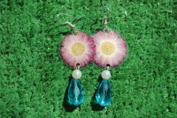 /album/galleria-foto-flower/a021-jpg/