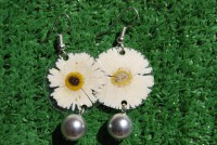 /album/galleria-foto-flower/a025-jpg/