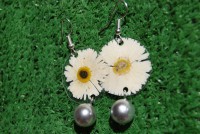 /album/galleria-foto-flower/a026-jpg/