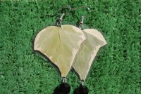 /album/galleria-foto-flower/a038-jpg/