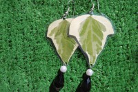 /album/galleria-foto-flower/a042-jpg/